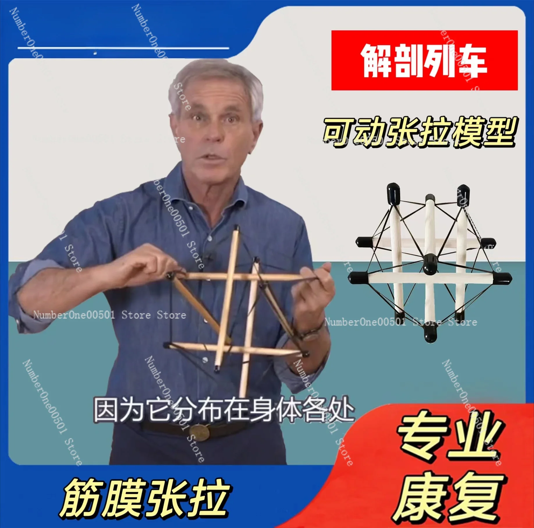 Rod length 12cm-three-color antioxidant integral model structure fascia tensioning body teaching aid demonstration dynamics