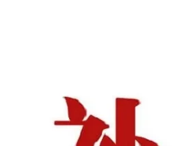 vip link for freight