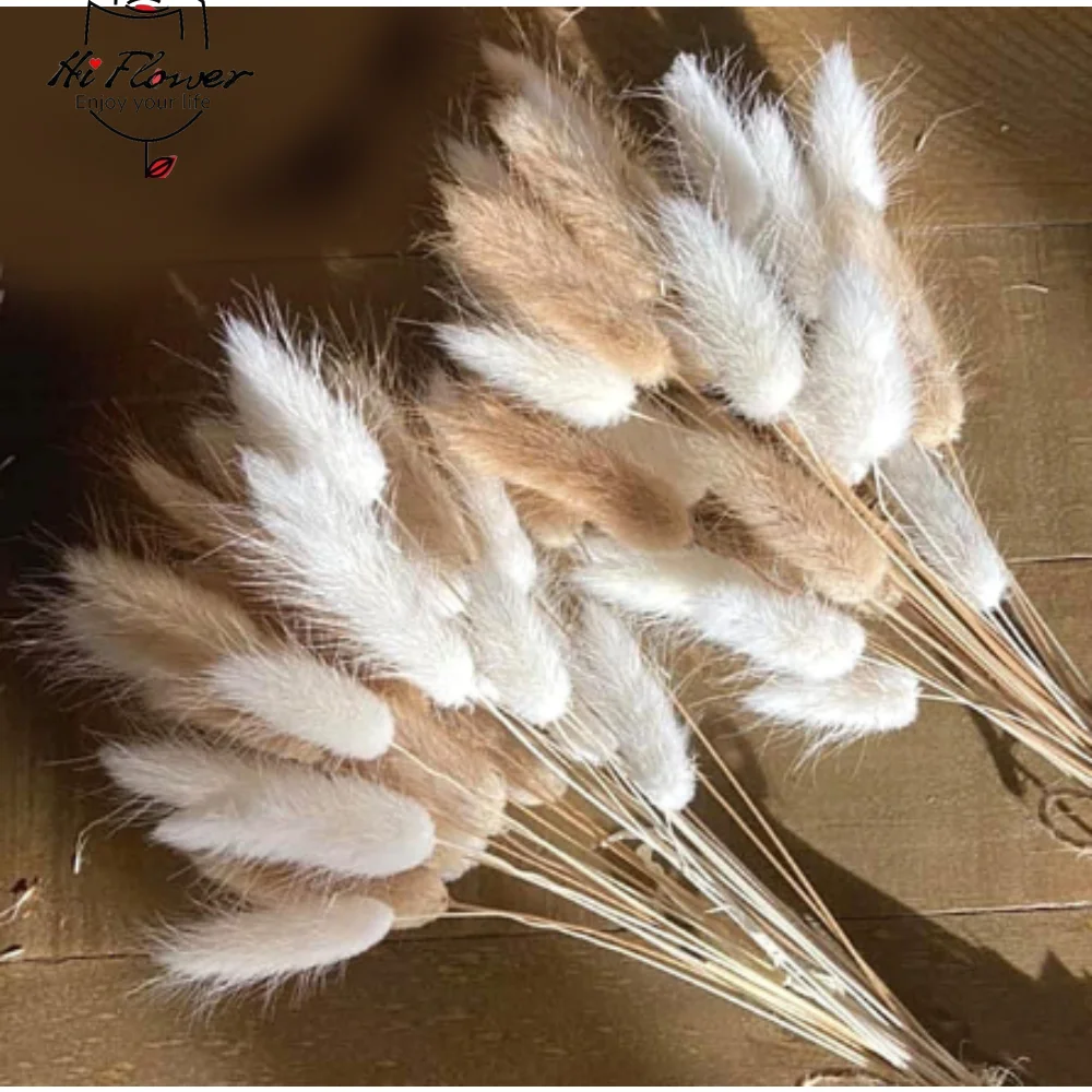 100PCS Natural Bunny Rabbit Tails Grass Dried Flowers Boho Home Decor Table Accessories Colorful Mix Lagurus Wedding Decoration