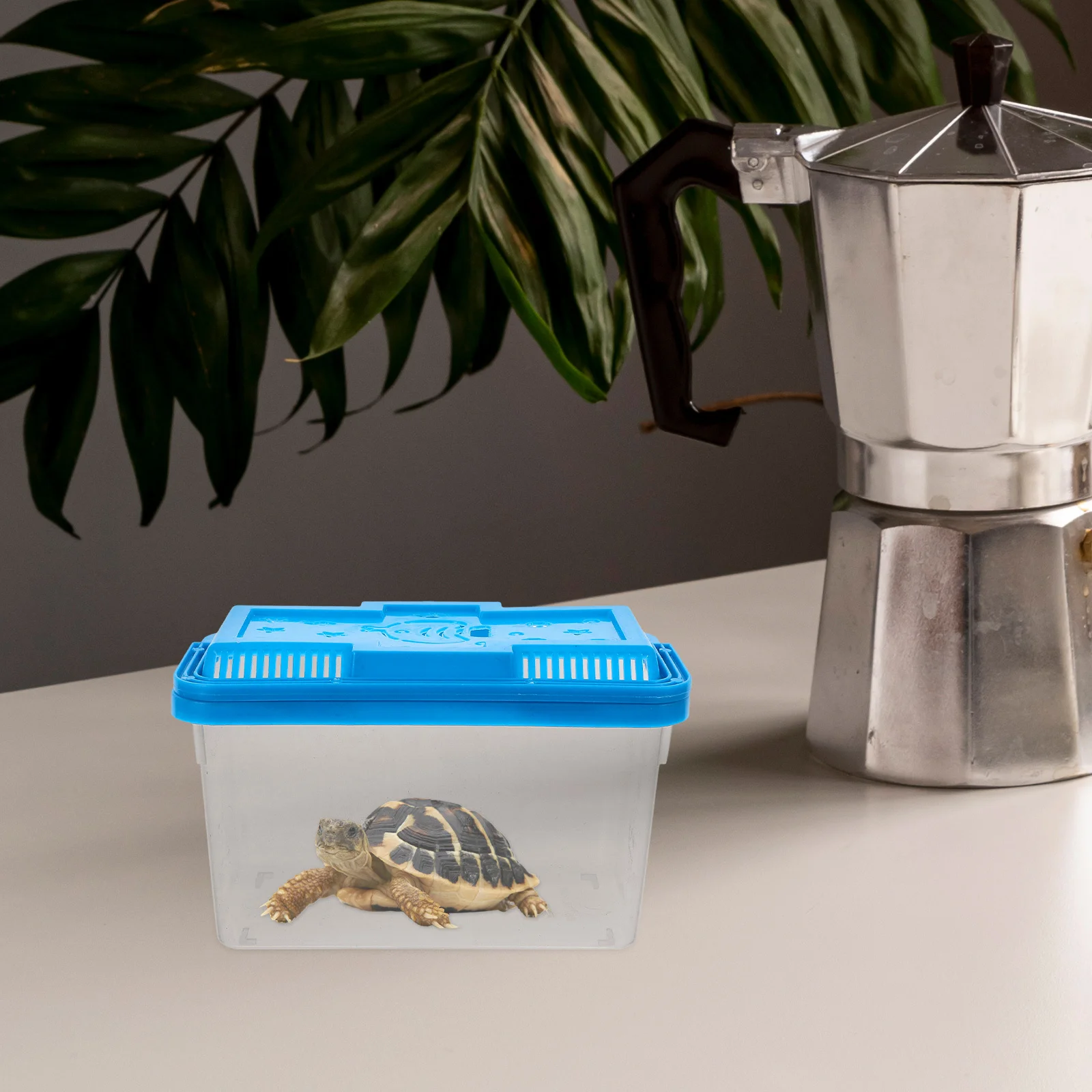 

Portable Transparent Plastic Fish Tank Small Aquarium Lid Travel Turtle Reptile Habitat Box Easy Clean Fish Transport Container