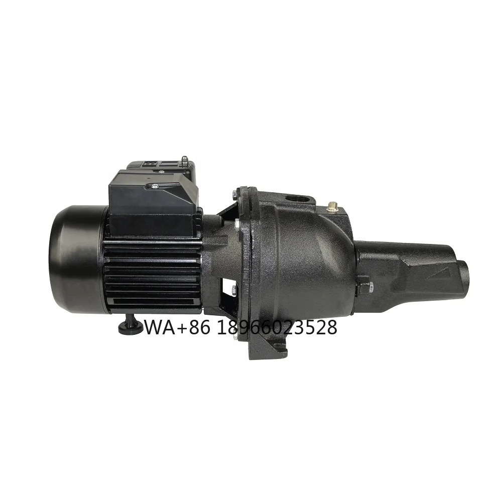 Made Cast Iron Convertible Self-priming 110' Deep Well Water Jet Pump with China Factory Price