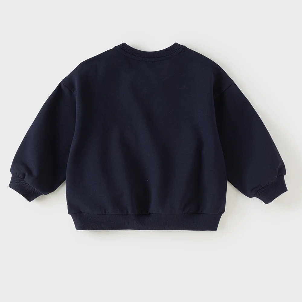 Dave Bella Pullover Sweatshirt Autumn Children's Clothing boy 4 to 6 Years Spring Daily Sportswear Tops Fashion Young DB3262494