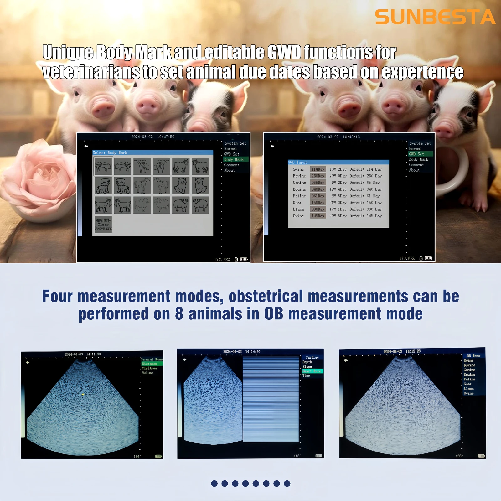 Ultrasonido veterinario portátil R-M10 precio barato para uso equino y ganado Ecografo Portatil Precio veterinario