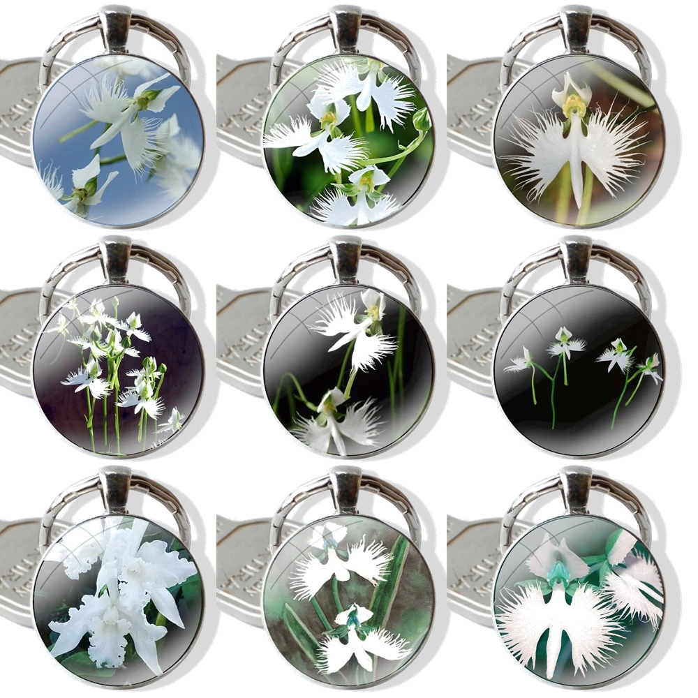 White Egret Orchid Flower Radiata 25mm Glass Cabohcon Keychain Key Rings for Women Men Jewelry Gift