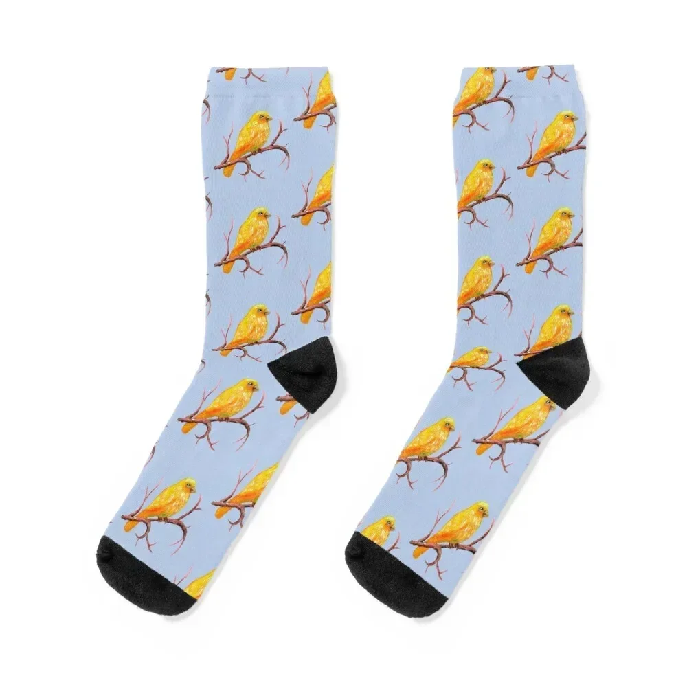 Canary Bird Socks Lots hiking Christmas Novelties Socks Men's Women's