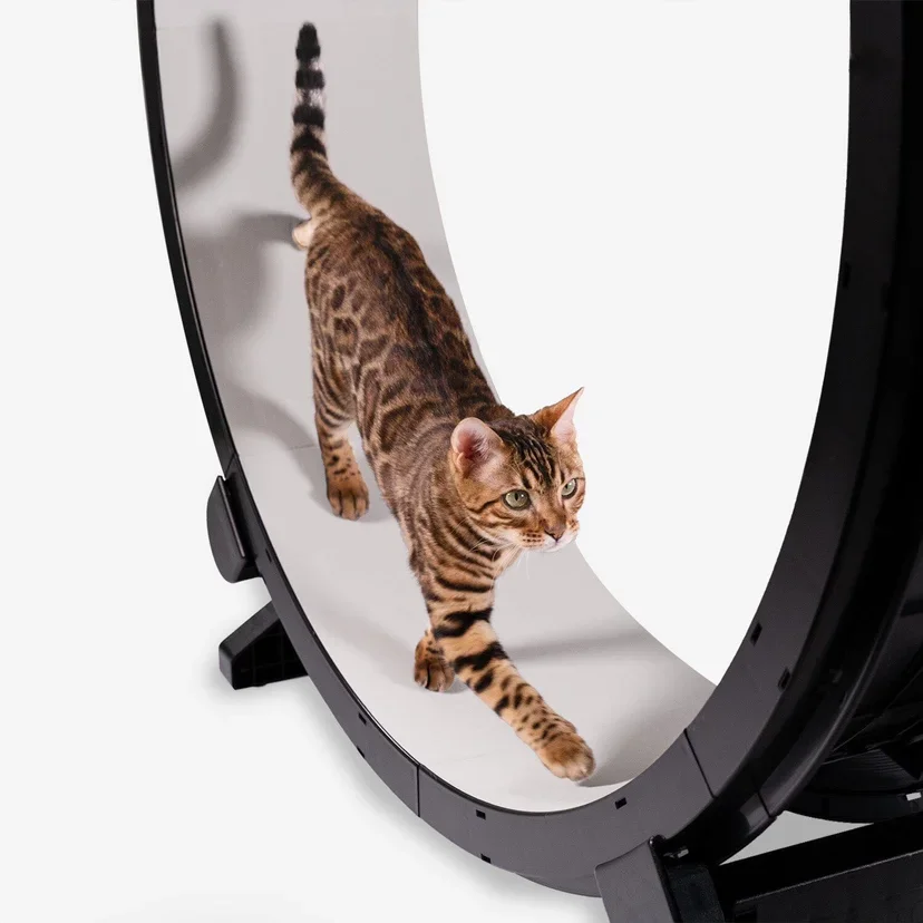 Cat Running Silent Home Interactive Toy Cat Exercise Pet Treadmill Wheel