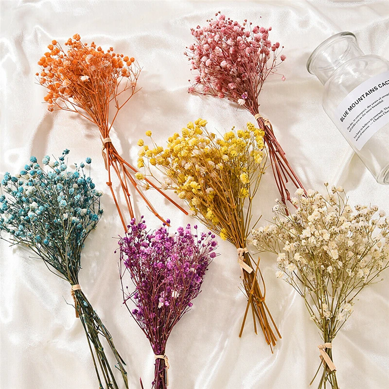 12cm Dried Flower Gypsophila Flowers Rose Flower Bouquet Wedding Home Decor