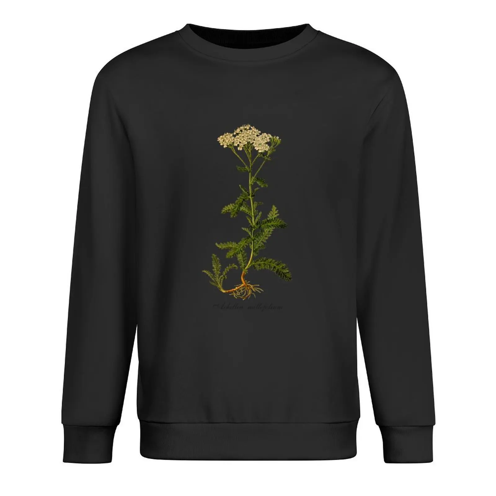 

Yarrow (Achillea millefolium) Pullover men's clothing aesthetic clothing autumn graphic t shirts men pullover