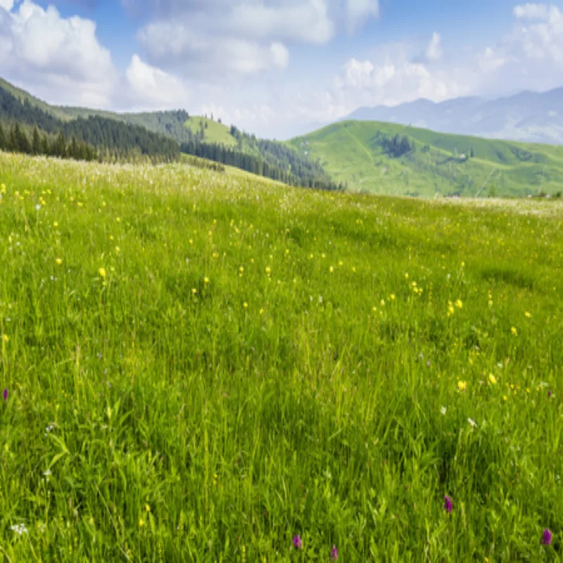 

Автомобильные фары для Toyota Corolla 2019-2022 и Allion: Светодиодные фары в сборе с биксеноновыми линзами, DRL и сигналами поворота (аксессуары)