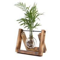 Wooden Frame Hydroponic Vase Green Plants Glass Flower Container Living Room Small Container Office Desktop Decoration