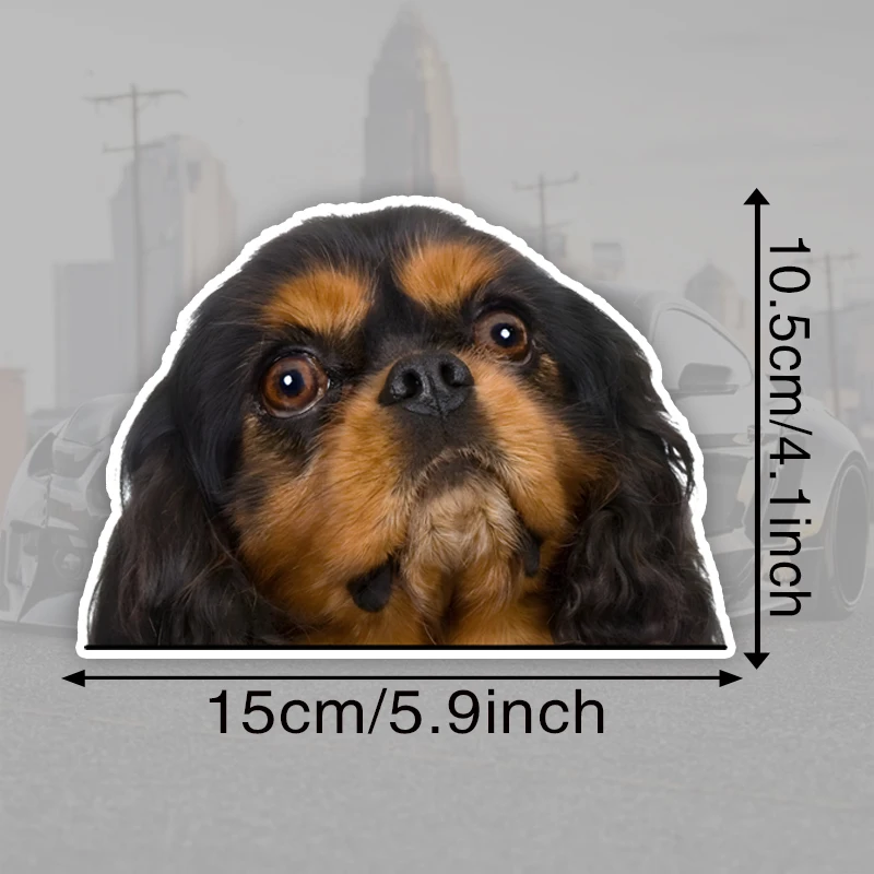 15x10.5cm Cavalier King Charles Spaniel Car Stickers Waterproof Vinyl Decal For Truck Motorcycle Scooter Auto Accessories