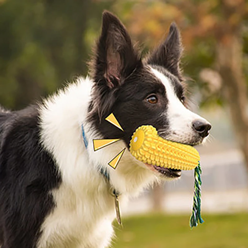 Pet Vocalizing Companion Golden Retriever Toy Self-soothing Device Teeth Molar-resistant Dogs Shiba Inu Corgi Teddy Dog Products