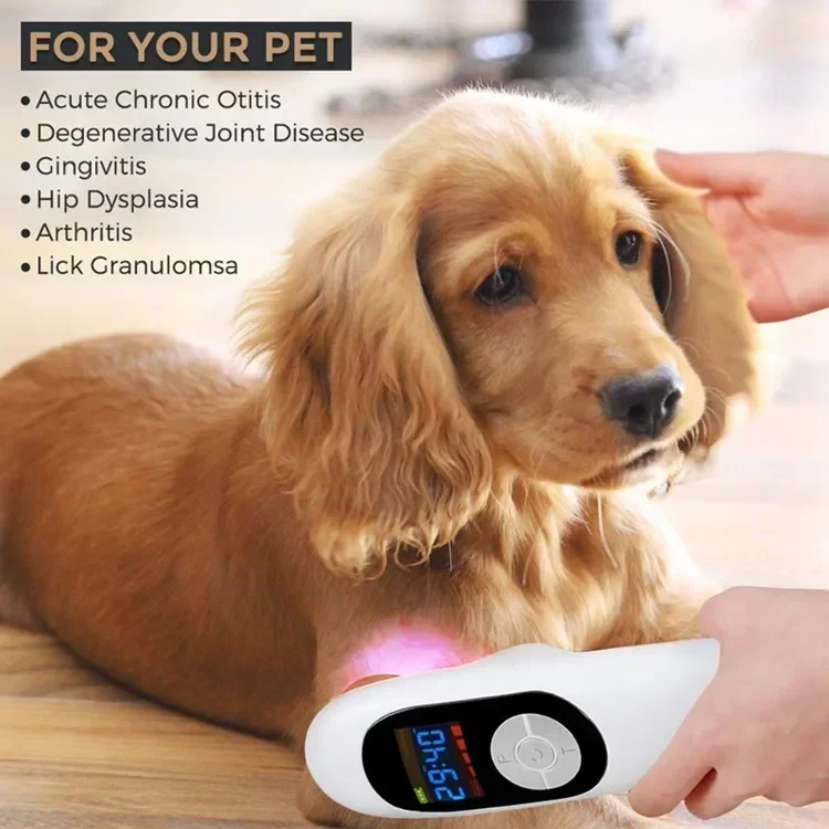 Pet Physiotherapy Large Animals and Vet Wound Healing Veterinary Laser Therapy Device GD-P