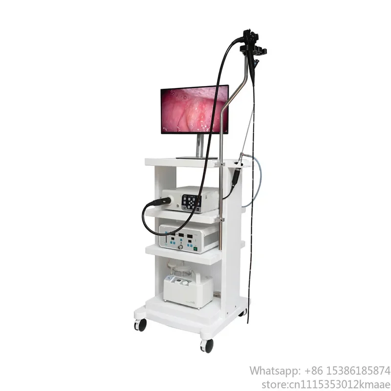 Vequyn Veterinary Flexible Video Endoscope System — Gastroscopy & Colonoscopy Machine for Animal Clinical Use