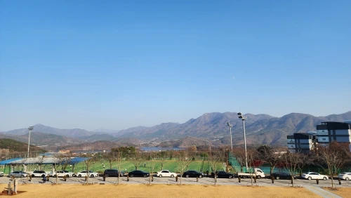 구매후기