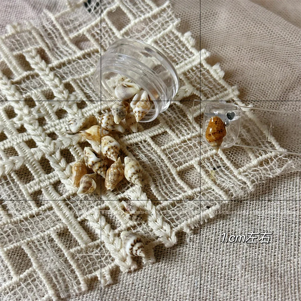 해변 휴가 스타일 천연 조가비 껍질 네일 아트 쥬얼리 자갈 껍질 네일 아트 재료