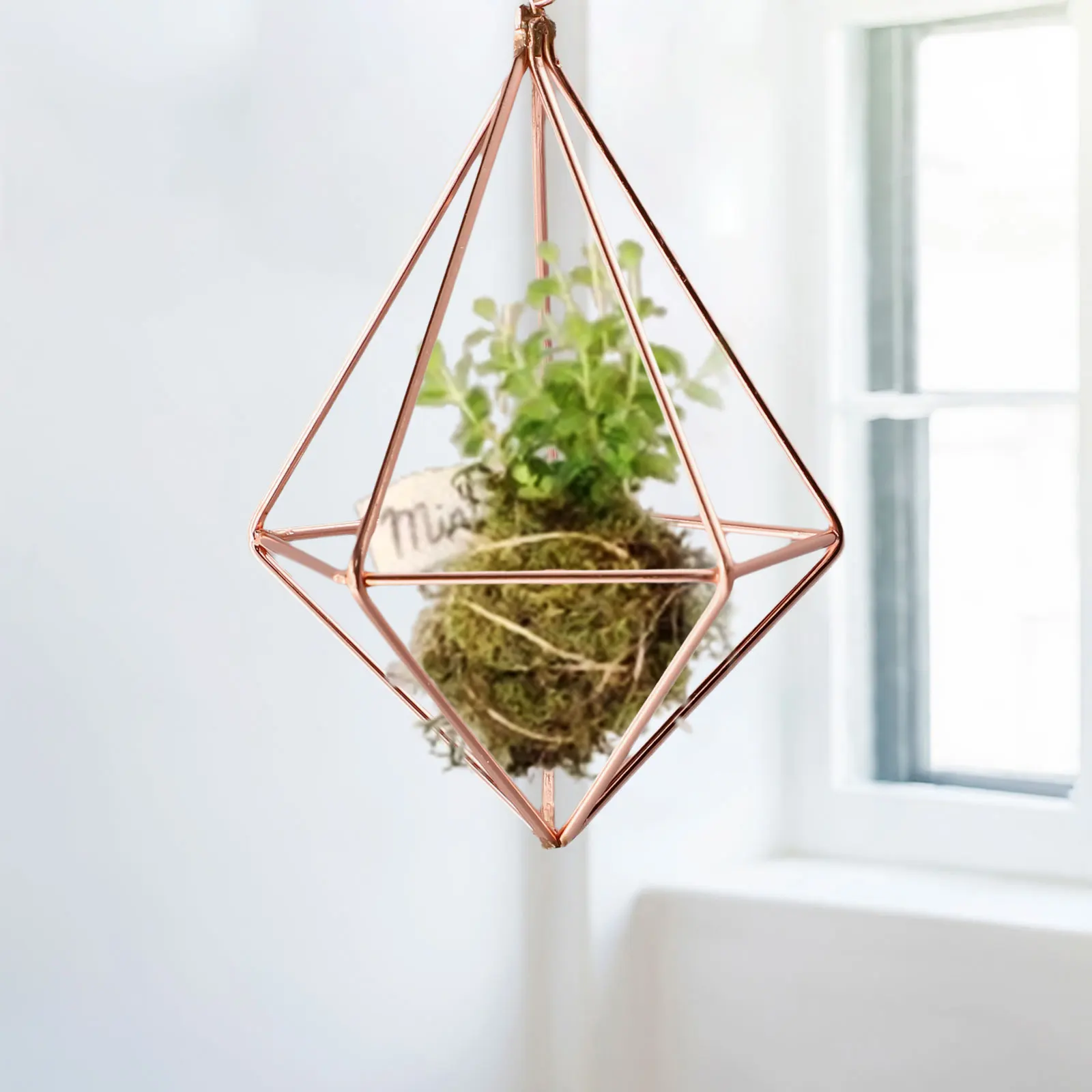 Plant Flower Pot Decoration Design Hanging geometric Shape Basket Home Garden Outdoor Art Furnishing Holder Bracket