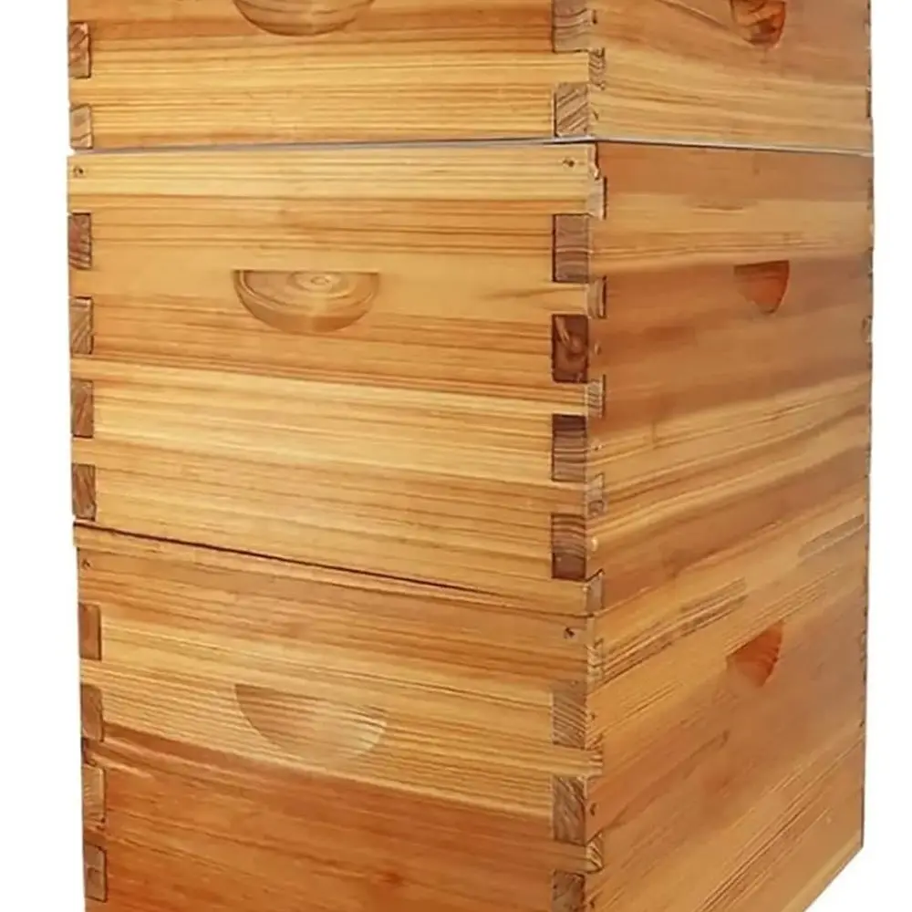 

Комплект для пчеловодства: улей с покрытием из пчелиного воска на 10 рамок, рамами и основаниями, 2 глубоких и 1 средними коробками для пчел.