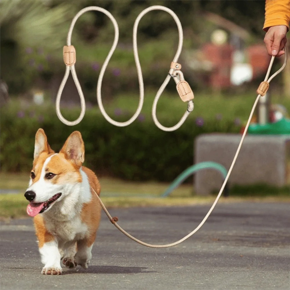 Regulowana smycz dla psa, wytrzymała nylonowa smycz do spacerów, odporna na rozdarcia, wytrzymała smycz do tresury szczeniąt, do ogrodu