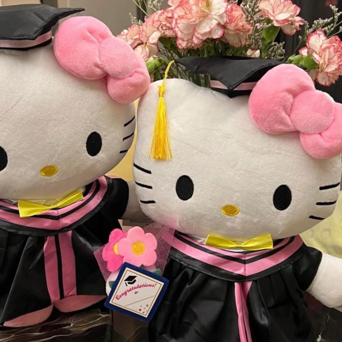 Hello Kitty อะนิเมะ Graduation Plush Cinnamoroll My Melody Kuromi Plushie ตุ๊กตาหมอนนุ่มตุ๊กตาสัตว์ของขวัญสําเร็จการศึกษา