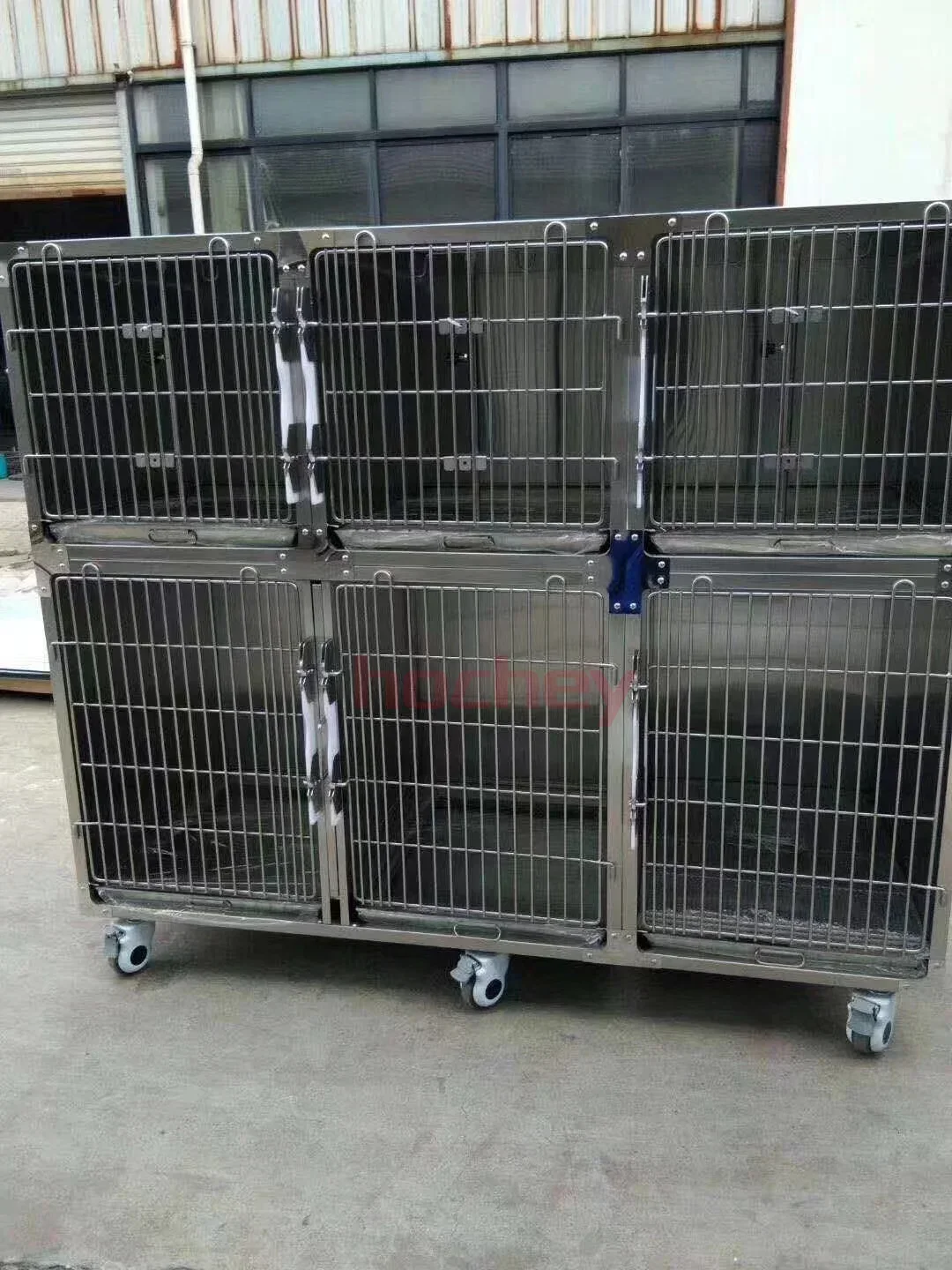 Customizable Five-Compartment Stainless Steel Pet Cage for Forster Care and Veterinary Instrument Support