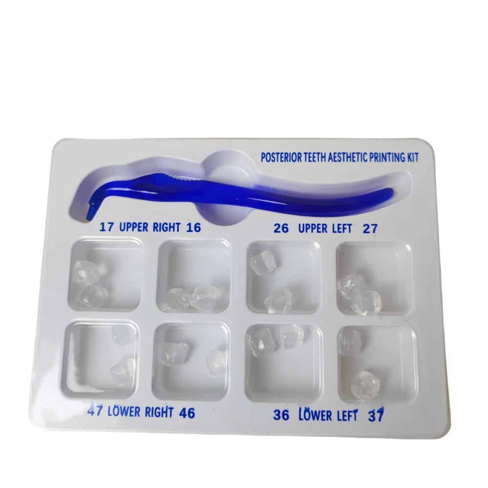 

Posterior Teeth Aesthetic Printing Mould Kit For Dental Light Cure Composite Restoration Filling Tools
