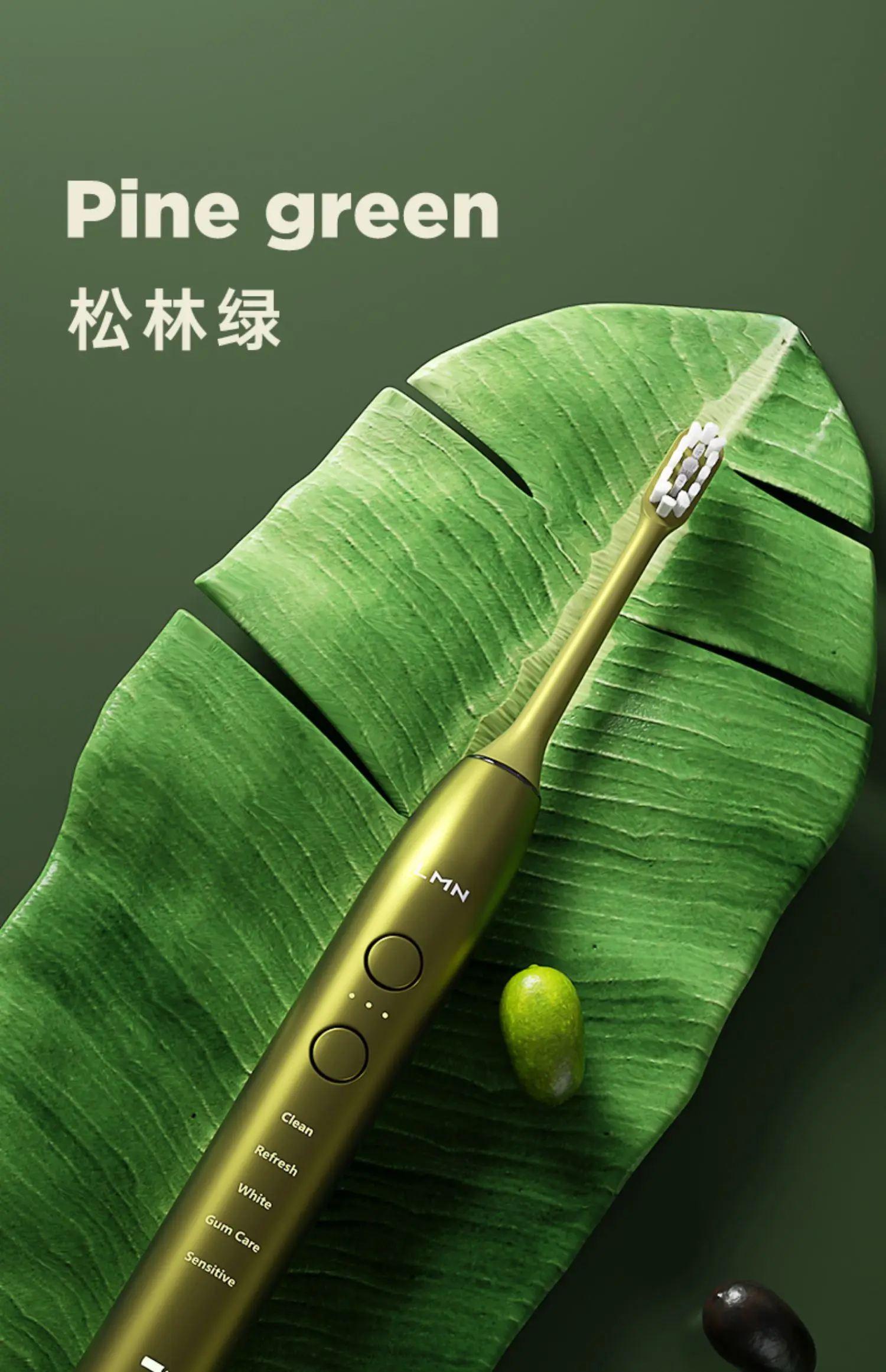 LMN L3-upgrade Sonic Electric Toothbrush Ultrasonic Tooth Brush Rechargeable Brush Teeth Cleaner Adult Electric Toothbrush(K2)