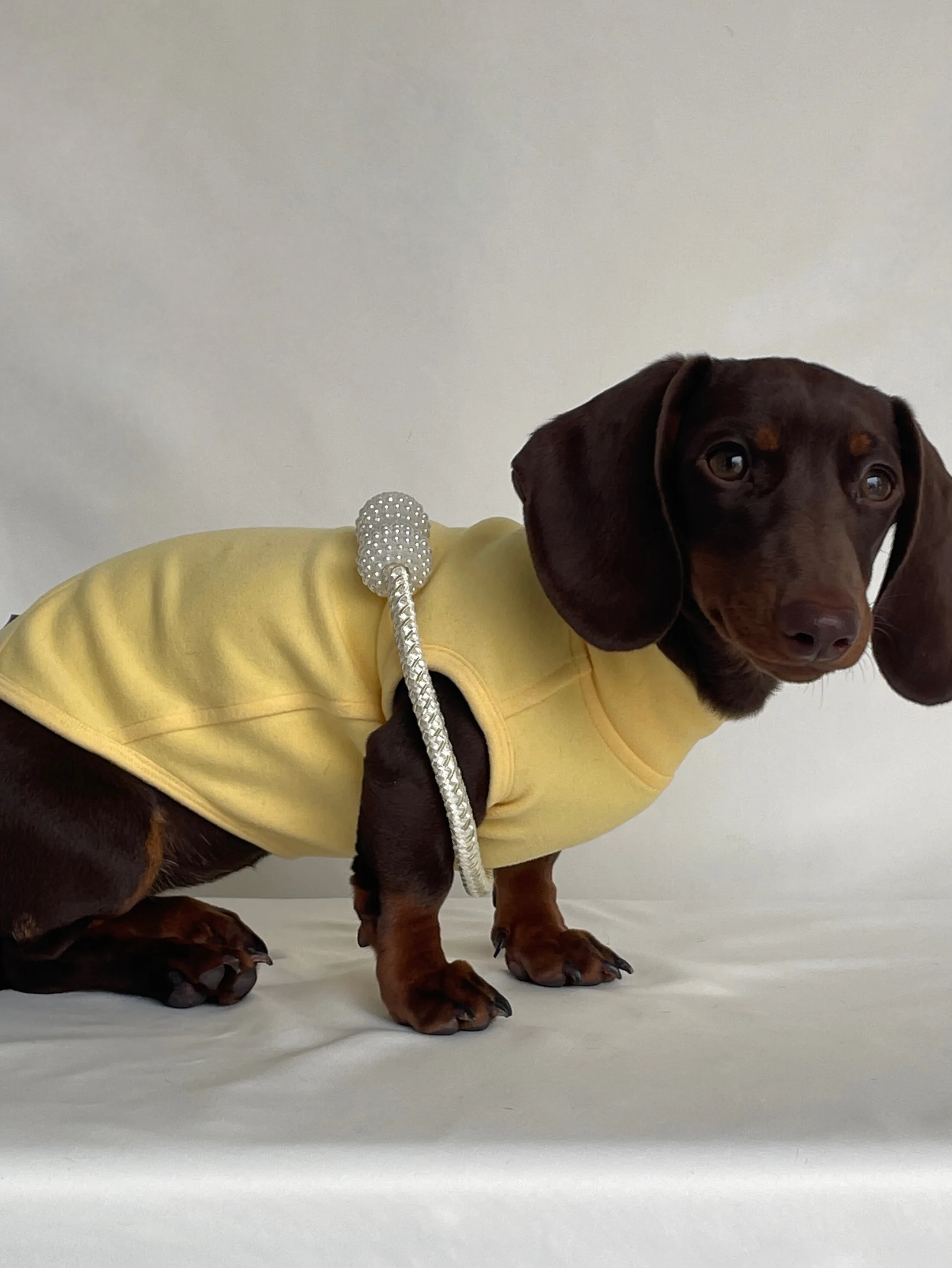 

Теплый цвет футболки с колбасой для собак и щенков, базовый слой для маленьких и средних собак, милая и уютная одежда для домашних животных, повседневный свитер для собак