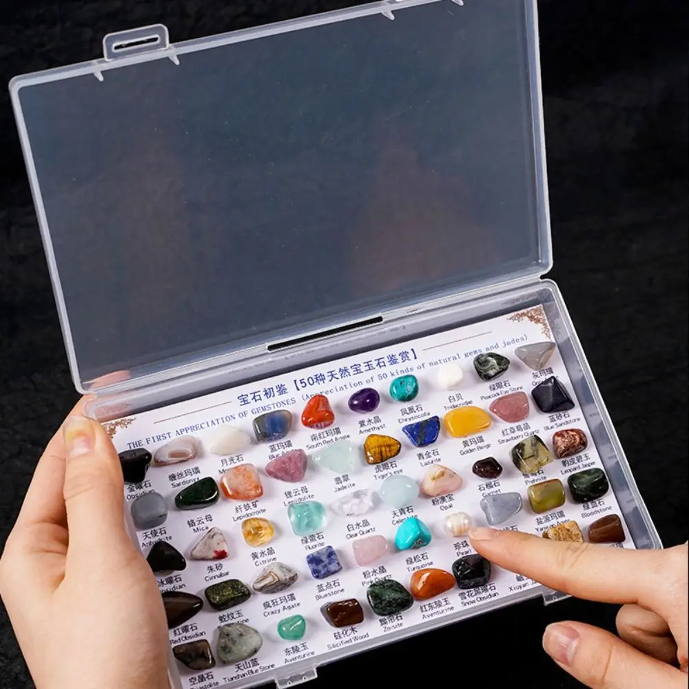 Coffret Cadeau Couleurs Aléatoires : Échantillons de Pierres Brutes, Quartz, Minéraux, Cristaux de Guérison, Gemmes Naturelles et Jades pour l'Enseignement de la Géographie