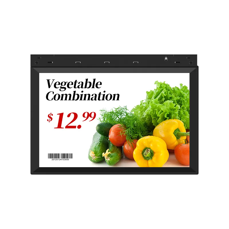 10,1 Zoll LCD Digitaler Preisschild Elektronisches Regaletikett für Einzelhandelsgeschäfte mit elektronischem WLAN-Vollfarbbildschirm