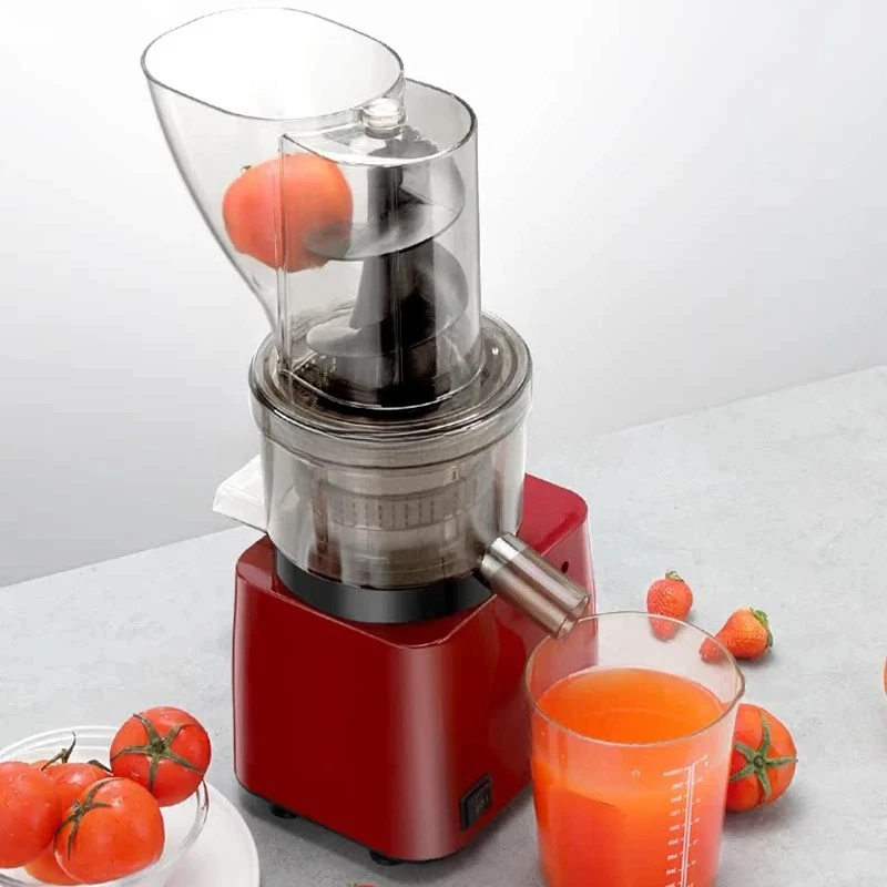 300W Cheap Price Juicing Desktop Household Cold Press Fresh Fruits Apple Pear Commercial Slow Juicer Machine For Juice Bar