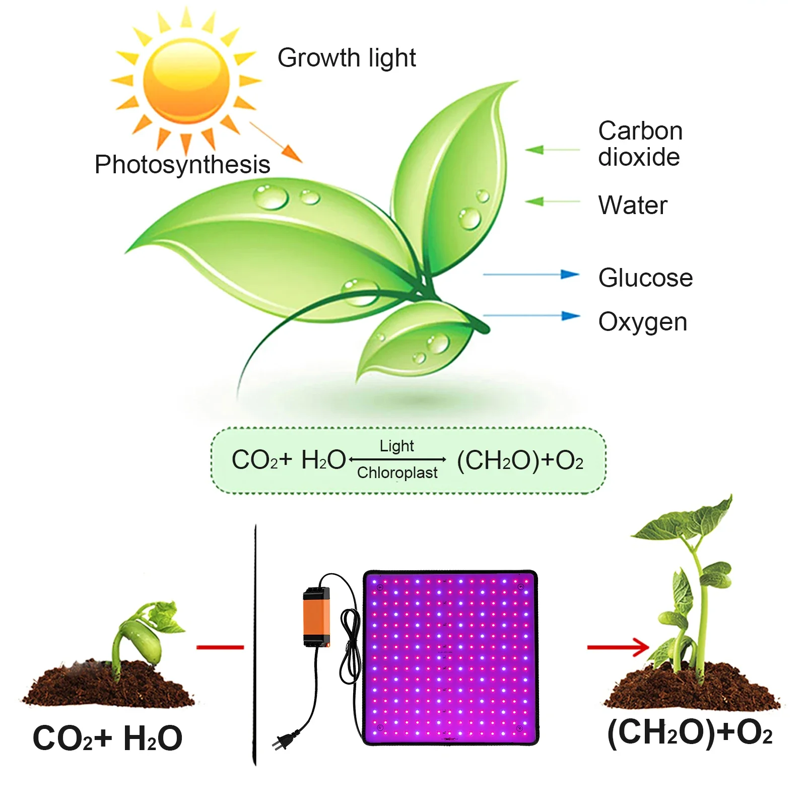 LED Grow Light US Full Spectrum Grow Lamp Indoor Succulent Growing Light Hanging Vegetable Seedling Lamp for Seedling Hydroponic