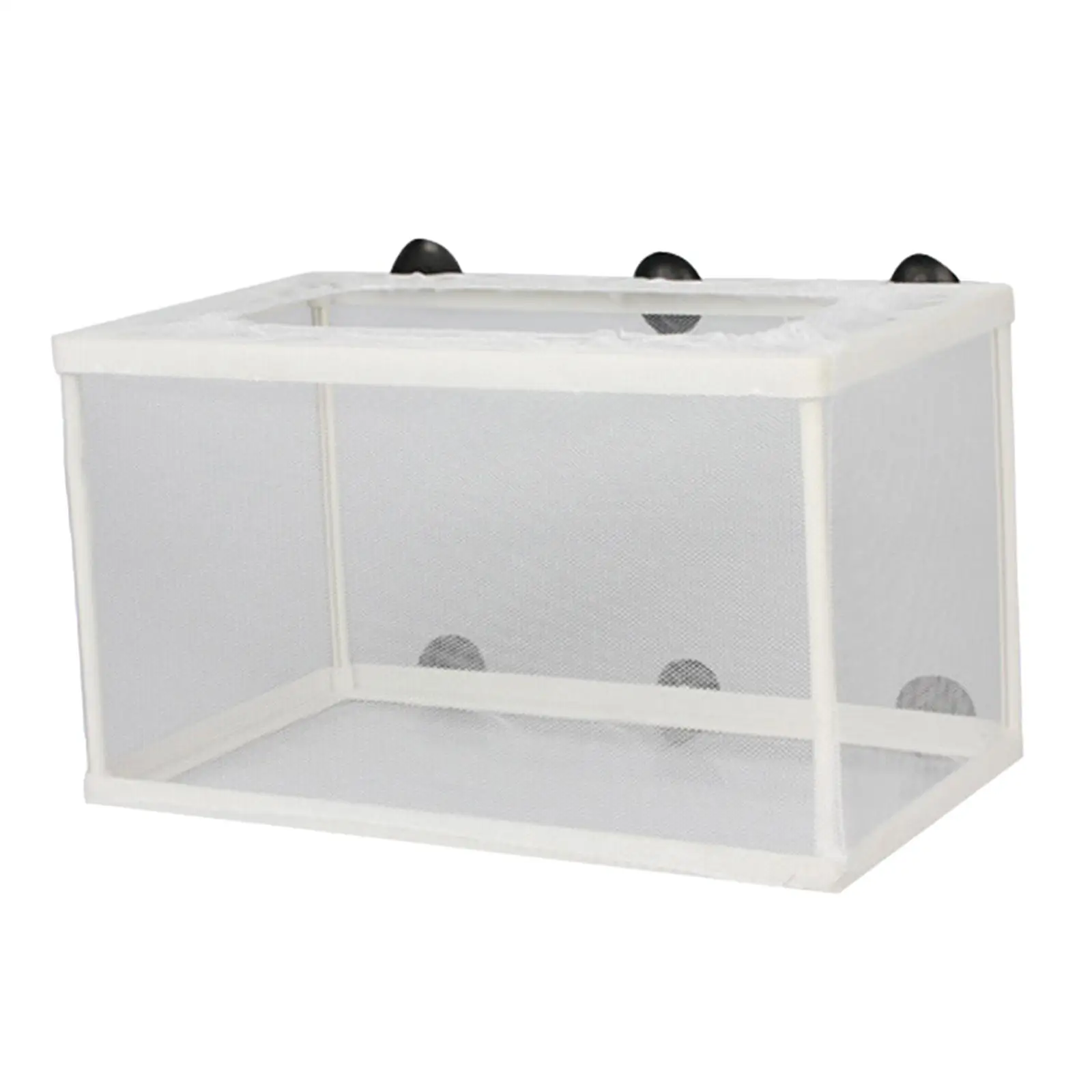 Fish Breeder Box Separation Fish Hatching Mesh with Suction Cups Aquarium Hatchery Breeding Isolation Net for Guppy Clownfish