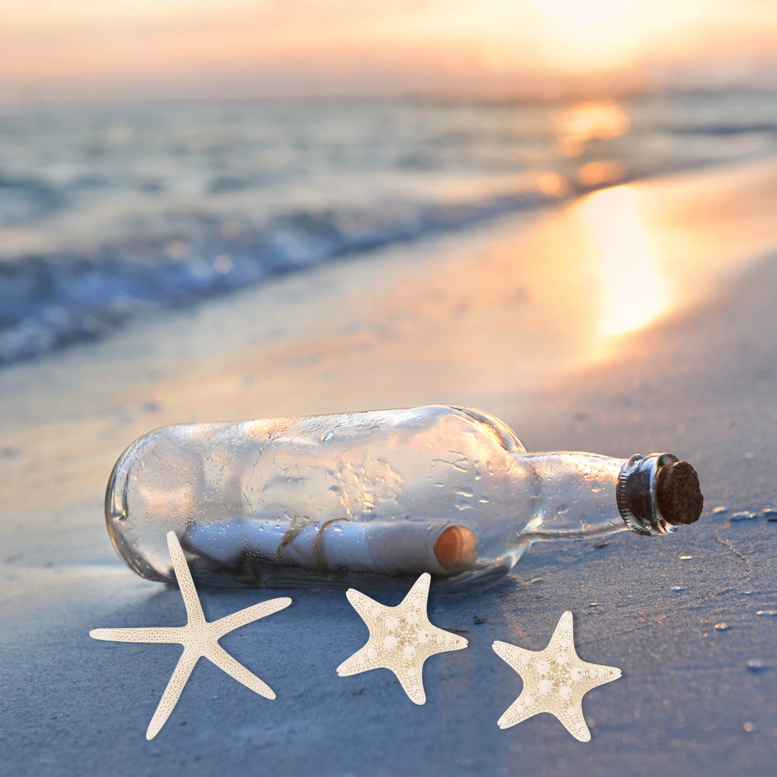 

8Pcs Natural Sea Star Decor Versatile Indoor Outdoor Aquarium Crafts Landscape DIY Vase Filler Delicate Adorn for Vase Filler