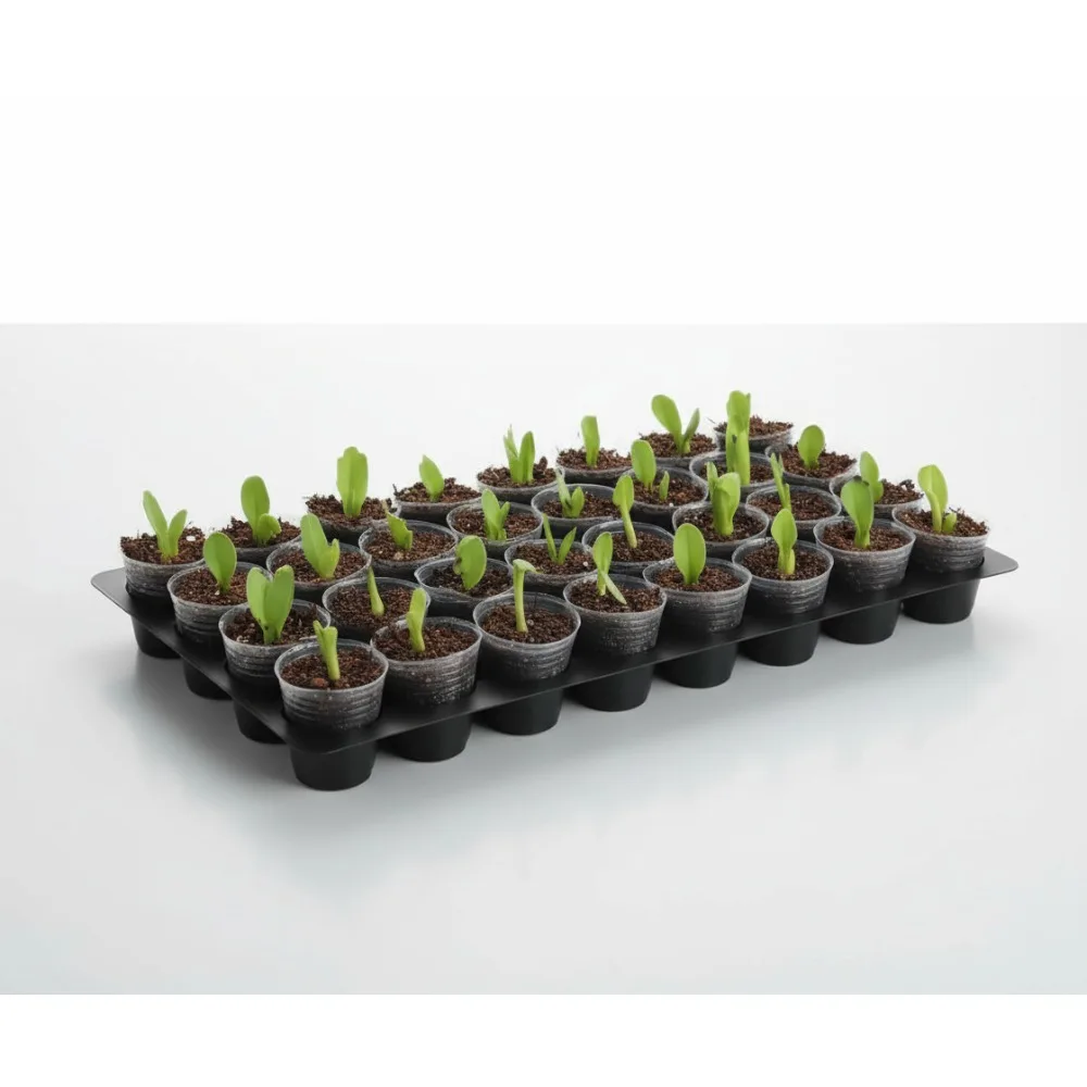 

5-Pack 32 Cell Seedling Trays & 160 Clear Nursery Pots - Durable Plant Starter Kit for Home Gardeners