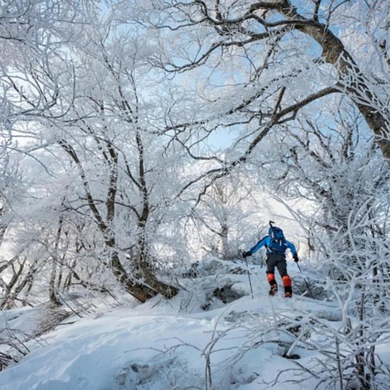 

YSIDO SCUD 2207 1850KV 2550KV 2306 1750KV 2500KV 3-6S Мотор sin escobillas para Drones Mark 4 FPV Racing Freestyle 5 pulgadas 6
