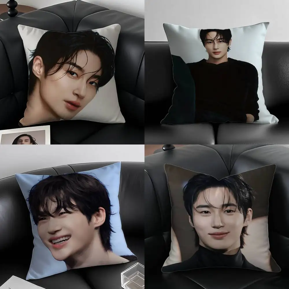 الممثلون والنماذج B-Byeon W-Wooseok كيس وسادة مكافحة الغبار المخدة غير مرئية سستة حريري قصير أفخم غطاء وسادة أريكة