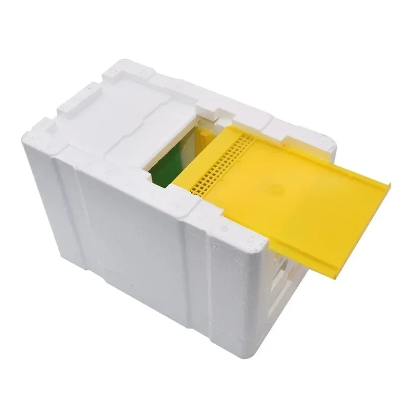 X18 New Model Mini Nucs Complete Mini Mating Beehive with Plastic Frames Removable Feeder Beekeeping Pollination Box