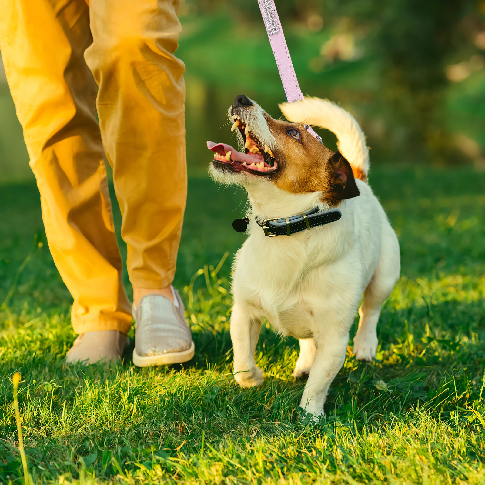 

Rhinestone Dog Leash Studded Flexible Diamonds PU Training Walking Leads for Small Dogs Jogging Hiking Pet Supplies