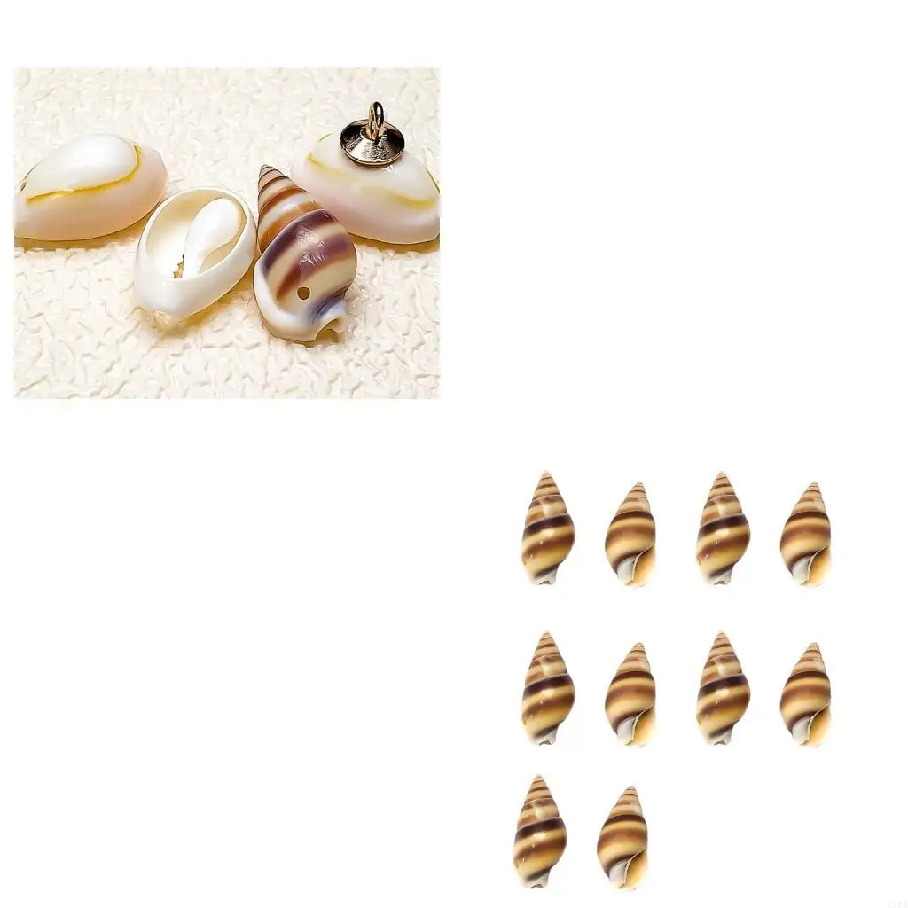 

10pcs Natural Conch Shell Buttons With Unique Patterns Perfect For Fashion Designers And Craft Project Clothing Supply