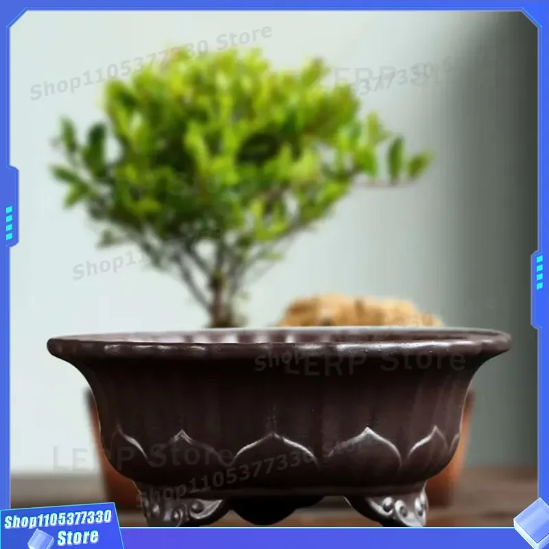 Traditional Chinese Yixing Ceramic Bonsai Pot Creative Handmade Clay Flower Planter for Indoor Garden Decoration Small Tree