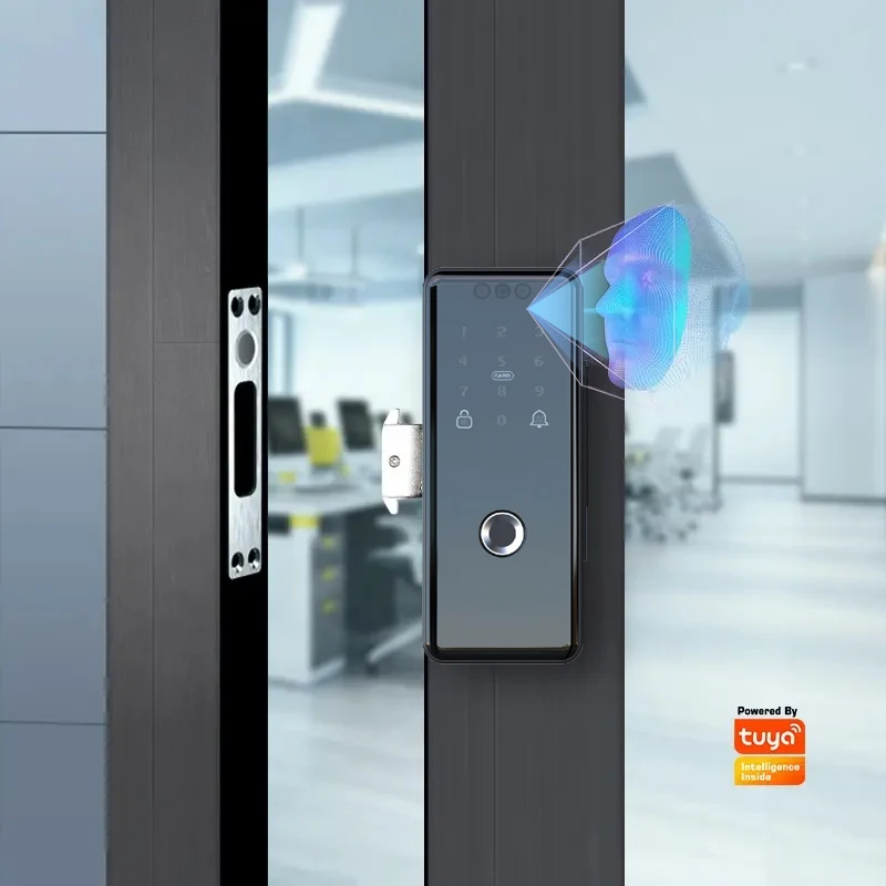 

OEM/ODM WiFi Control Tuya App Cerradura Smart Home APP 3D Face Recognition Smart Glass Door Lock
