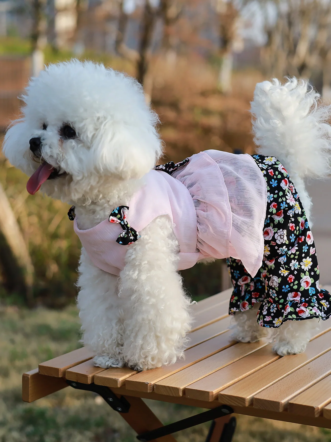 Mono pequeño y fresco Floral para mascotas, mono de cuatro patas, vestido de princesa para perros pequeños, ropa fina para primavera/verano, oso Bibi Marzis para mascotas