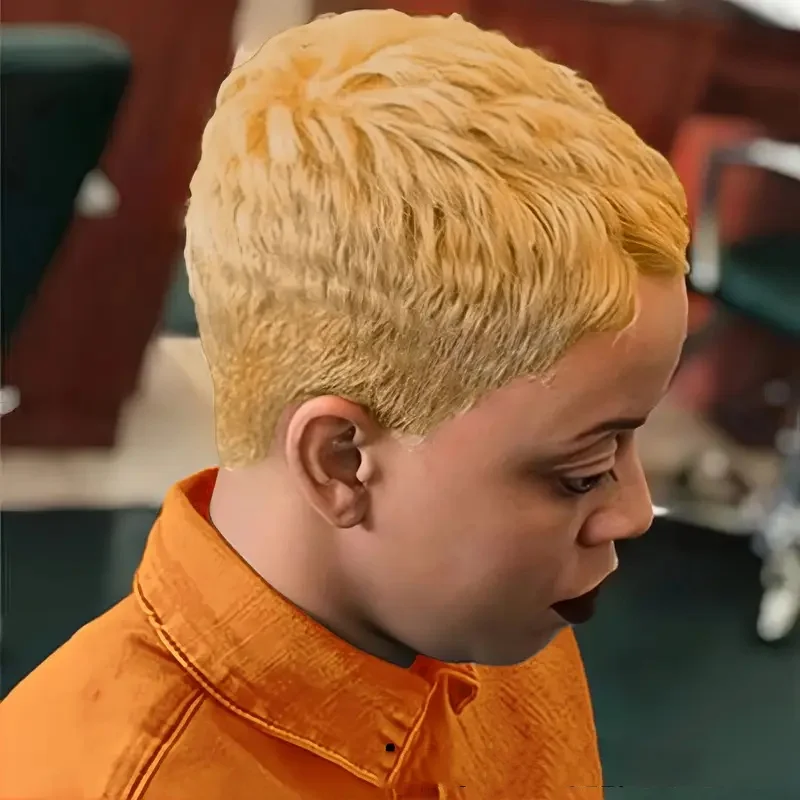 27 Short Pixie Cut Wig Human Hair Brazilian Human Hair Wigs for Women