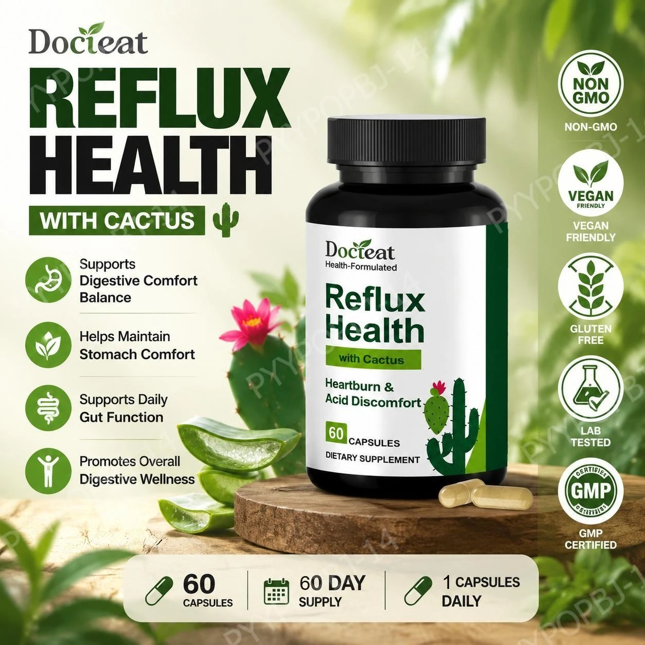 Docteat Cactus Extract Capsules with Aloe Vera and Ginger Root for Stomach Comfort Support and Daily Gut Function - 60 Capsules