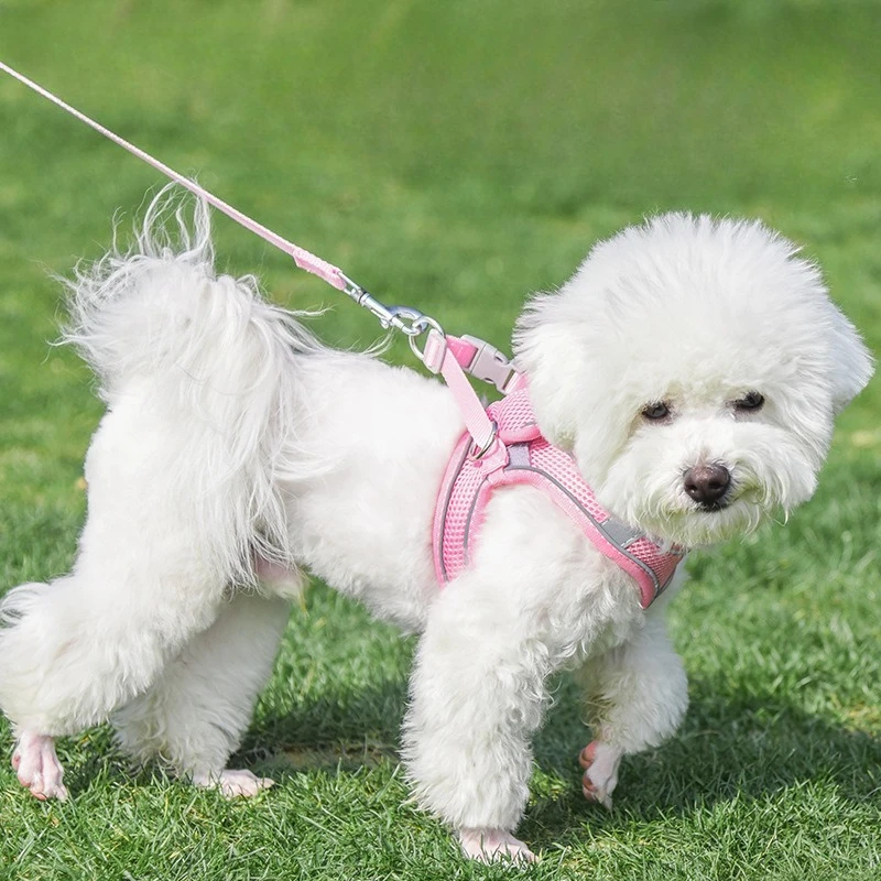 Pet Dog Harness and Leash Set for Small Medium Dog Outdoor Walking Reflective Adjustable Cat Vest Harness Chihuahua Pet Supplies - view 5