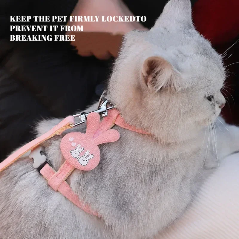 Laisse De Tracción Réglable En Nylon Pour Animal De Compagnie Collier Licou Pour Chat Harnais Pour Chaton Et Lapin Petite Taille