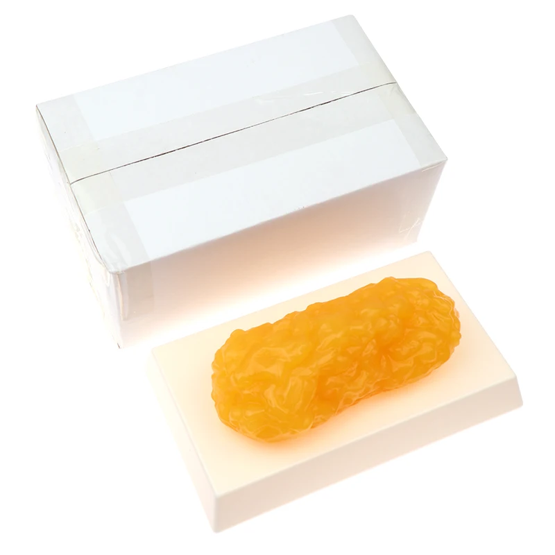 脂肪レプリカ脂肪組織モデル人体脂肪レプリカ 1 ポンド人間の脂肪組織デモンストレーションモデル栄養士科学コース用