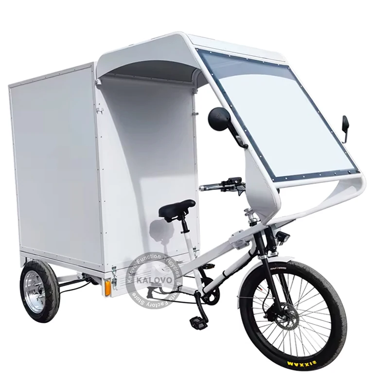 3 Wheels Cargo Transport Tricycle Heavy-duty Food And Cargo Delivery Truck Tricycle With Closed Box And Lock