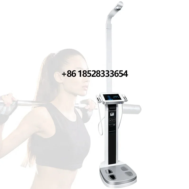 

Sonka medical supplies weighing scales bioelectrical impedance body composition analysis machine for gym use body fat scales